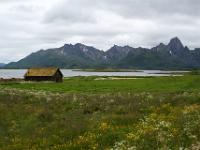 Wiesen, Eidsfjorden und Strandfjellet Berge bei Frøskeland - Vesterålen